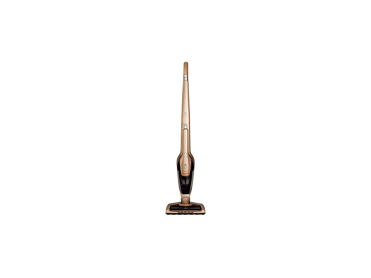 Electrolux Ergorapido ERG26