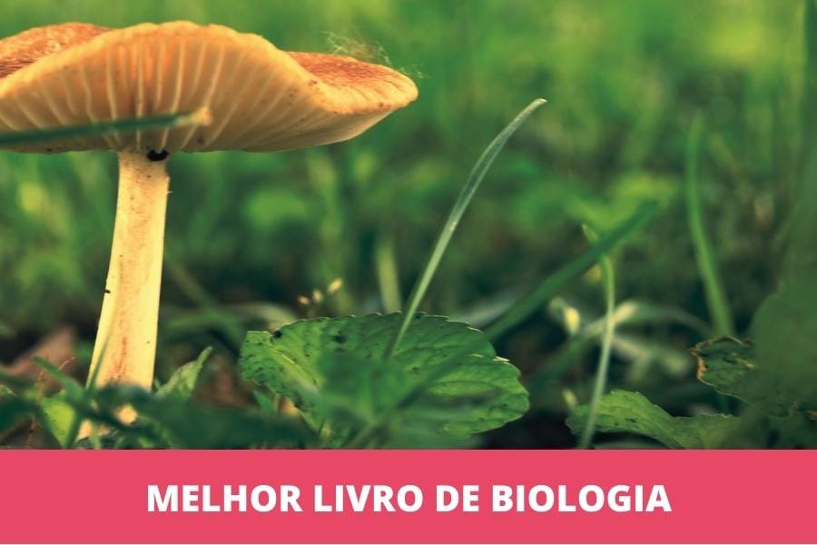 Melhor livro didático de biologia: os 5 melhores em 2026