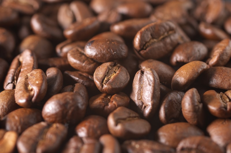 Qual o Melhor Garrafa térmica para café em 2026? Veja Como Escolher