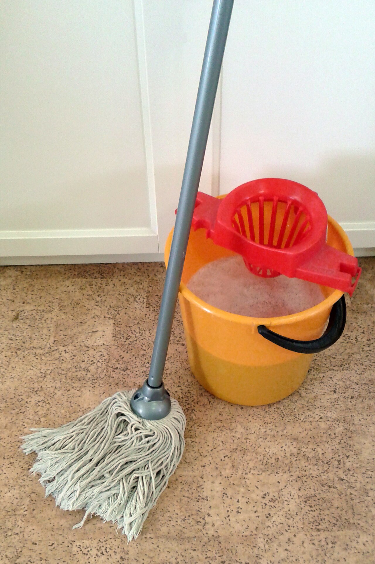 Qual o Melhor Mop para limpeza de casa em 2026? Veja Como Escolher